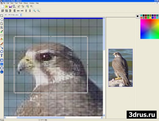 Falco Icon Studio v2.6