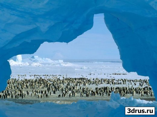    Trevel: Antarctica