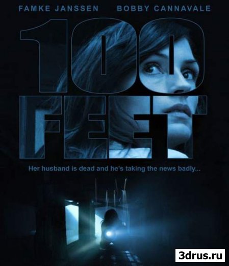 100  / 100 Feet (2008) DVDRip
