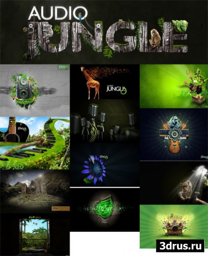 Audio Jungle HD Wallpapers