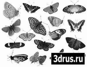 Кисти: Бабочки