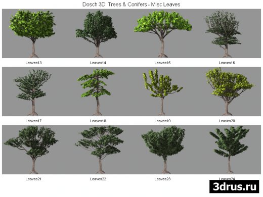 DOSCH 3D - Trees & Conifers