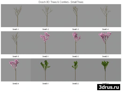 DOSCH 3D - Trees & Conifers