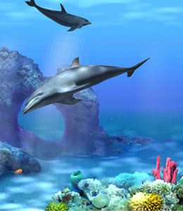 Free Living 3D Dolphins ScreenSaver