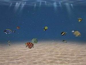 3D Sea Aquarium