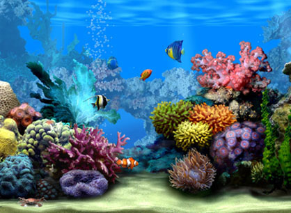 Living Marine Aquarium ScreenSaver(  )
