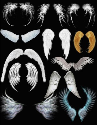   - Angel wings