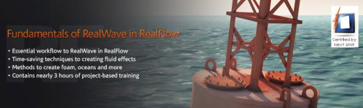 Digital -Tutors Fundamentals of RealWave in RealFlow