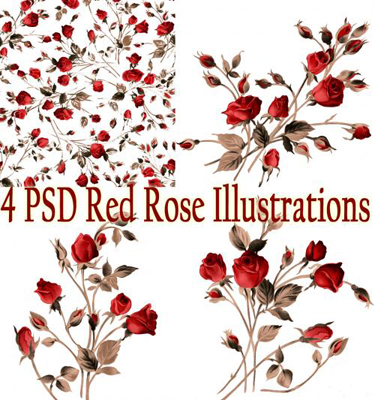 Red Rose (PSD)
