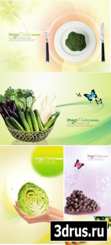 fruit and vegetable PSd template(3)