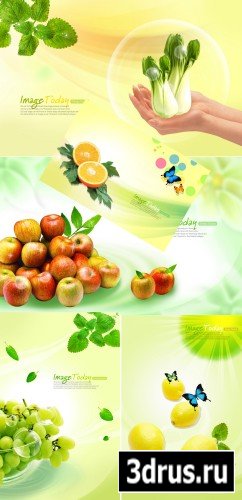 fruit and vegetable PSd template(2)