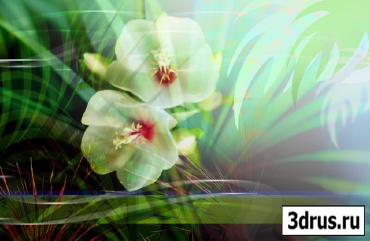Psd template Flowers  from JuiceDrop 2925