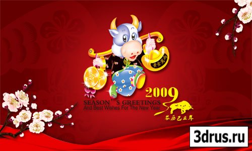 Year 2009 bull