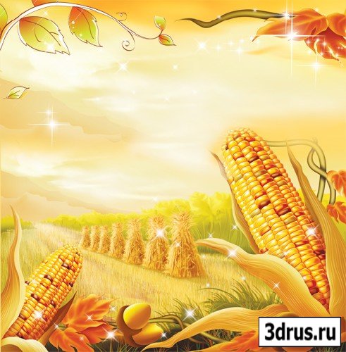 Corn PSD template