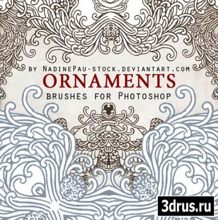 Ornaments Brushes