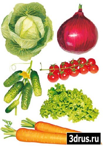 Vector Vegetables Pack