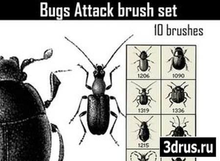   Photoshop (Bugs Attack Brushes)