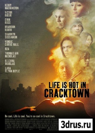     / Life Is Hot in Cracktown (2009) DVDRip