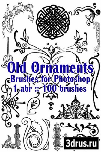 100 Old Ornaments Brushes