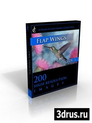 Intellectchaos Images Collection - Flap Wings vol.01