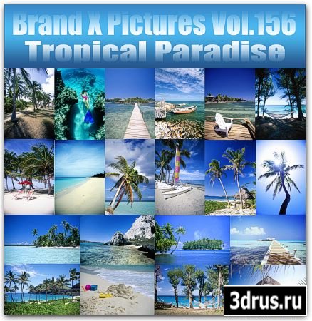  P - Tropical Paradise