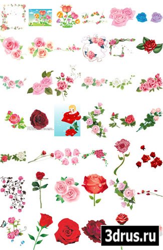 Vector Roses (part 2)