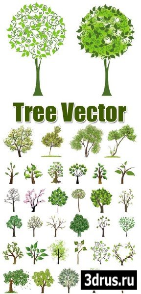 Tree Vector