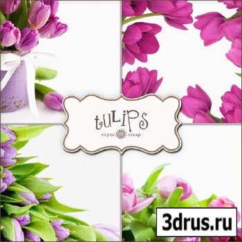 Textures - Tulips #3