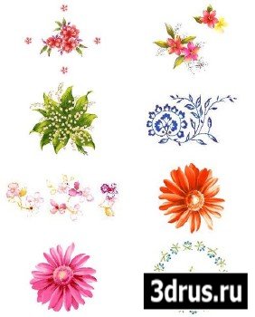 ImageToday Design Source - Porcelain Patterns