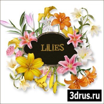 Scrap-kit - Lilies Set