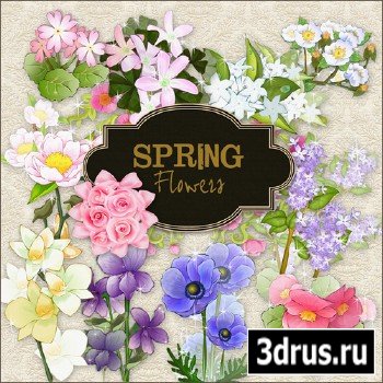 Scrap-kit - Spring Flowers