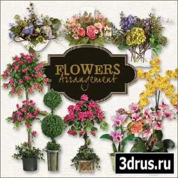 Scrap-kit - Flowers Arrangement
