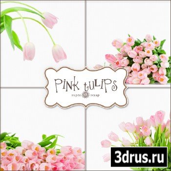 Backgrounds - Pink Tulips
