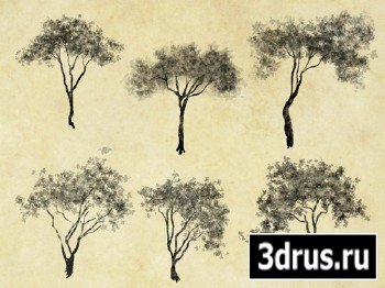 198 Cutout Trees (PSD)