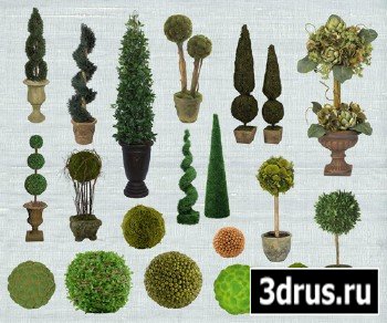 PSD Clipart - Topiary