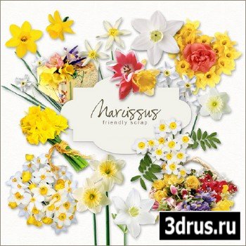 Scrap-kit - Narcissus
