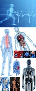StockMix of Human Anatomy in 3D Renders 80xJPGs