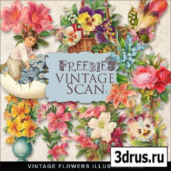 Scrap-kit - Vintage Flowers Illustrations #3