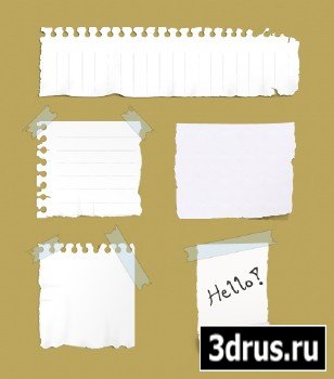 5 Ripped Paper Notes