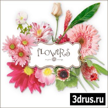 Scrap-kit - Flowers Illustrations #1