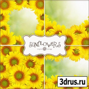 Textures - Sunflowers Backgrounds