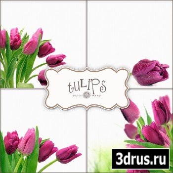 Textures - Tulips #4