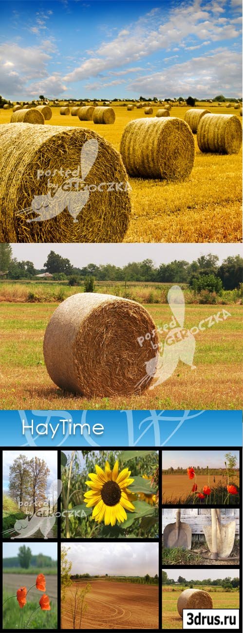 Hay time3