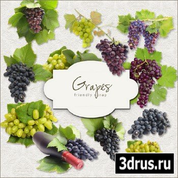 Scrap-kit - Grapes #1