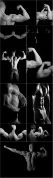 Photo Cliparts - Bodybuilding