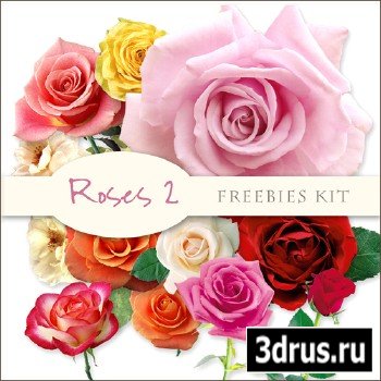Scrap-kit - Roses Images #2