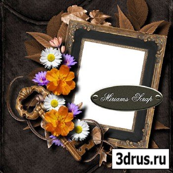 Quick-page - Miriams Scrap - Frames With Flowers
