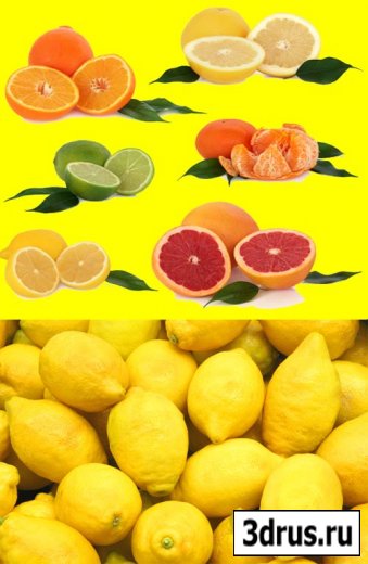 Мандарин лимон и лайм на стоковых фото