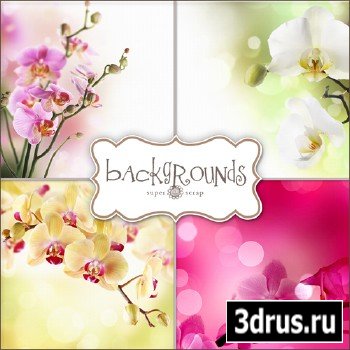 Textures - Orchids Backgrounds