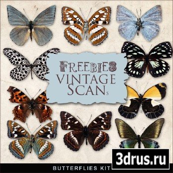 Scrap-kit - Butterflies Set #2